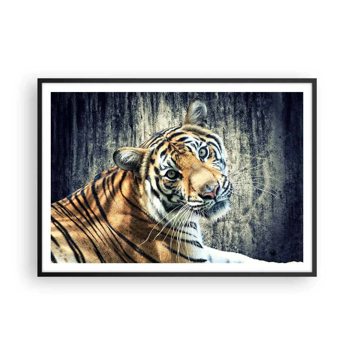 Póster en marco negro - Un tigre recostado contra una pared de textura rugosa. - 100x70cm - Retrato en corrientes de luz - Decoración de pared moderna para salón y dormitorio ARTTOR