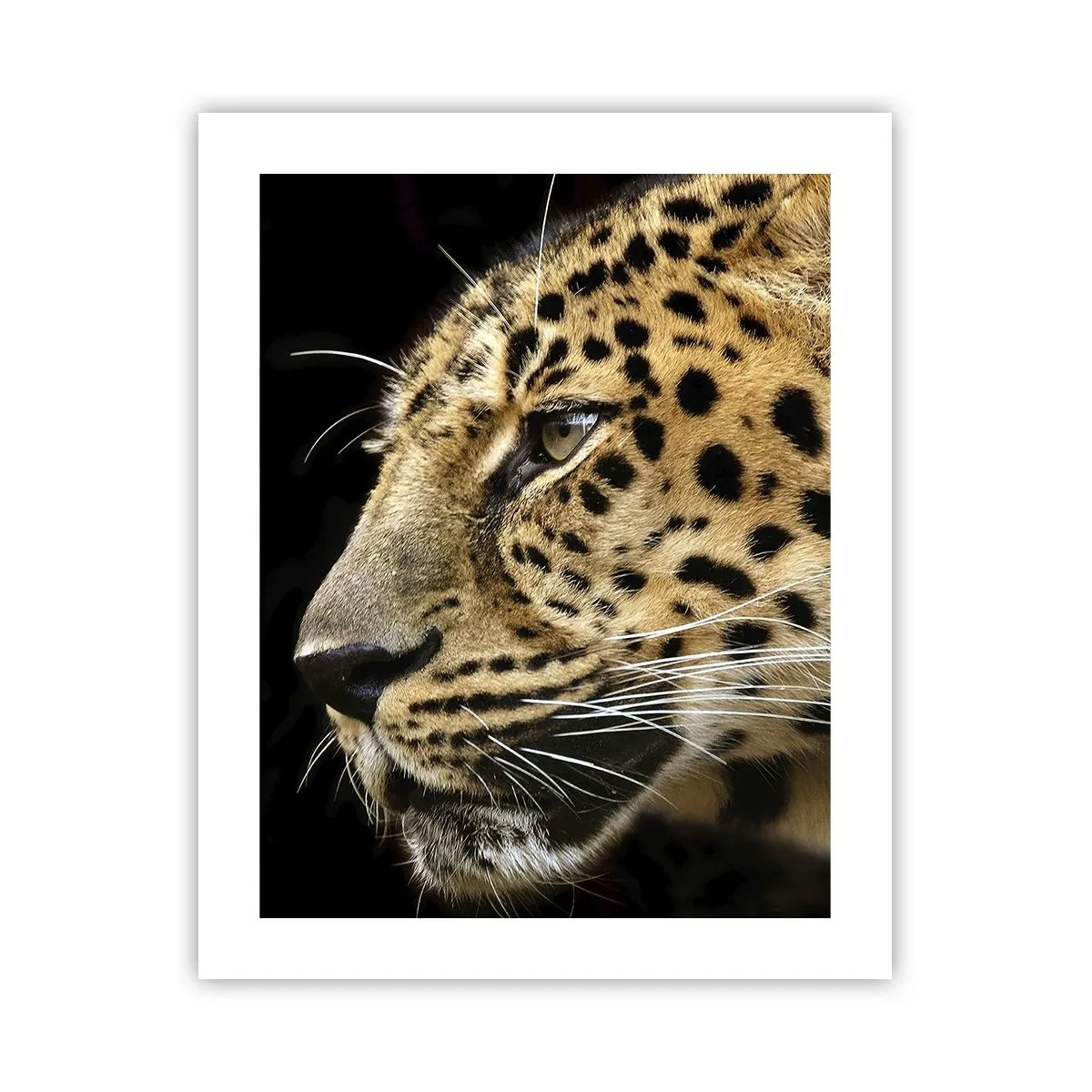 Póster - Tranquilo, concentrado, preparado - 40x50 cm