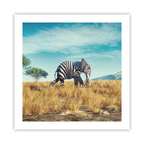 Póster - El gris ya no está de moda - 50x50 cm