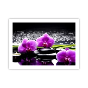 Póster - Ahogarse en la paz y la tranquilidad - 70x50 cm