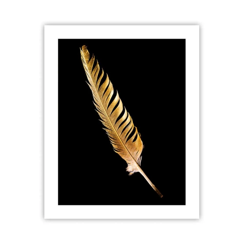 Póster - Pluma de alta calidad - 40x50 cm