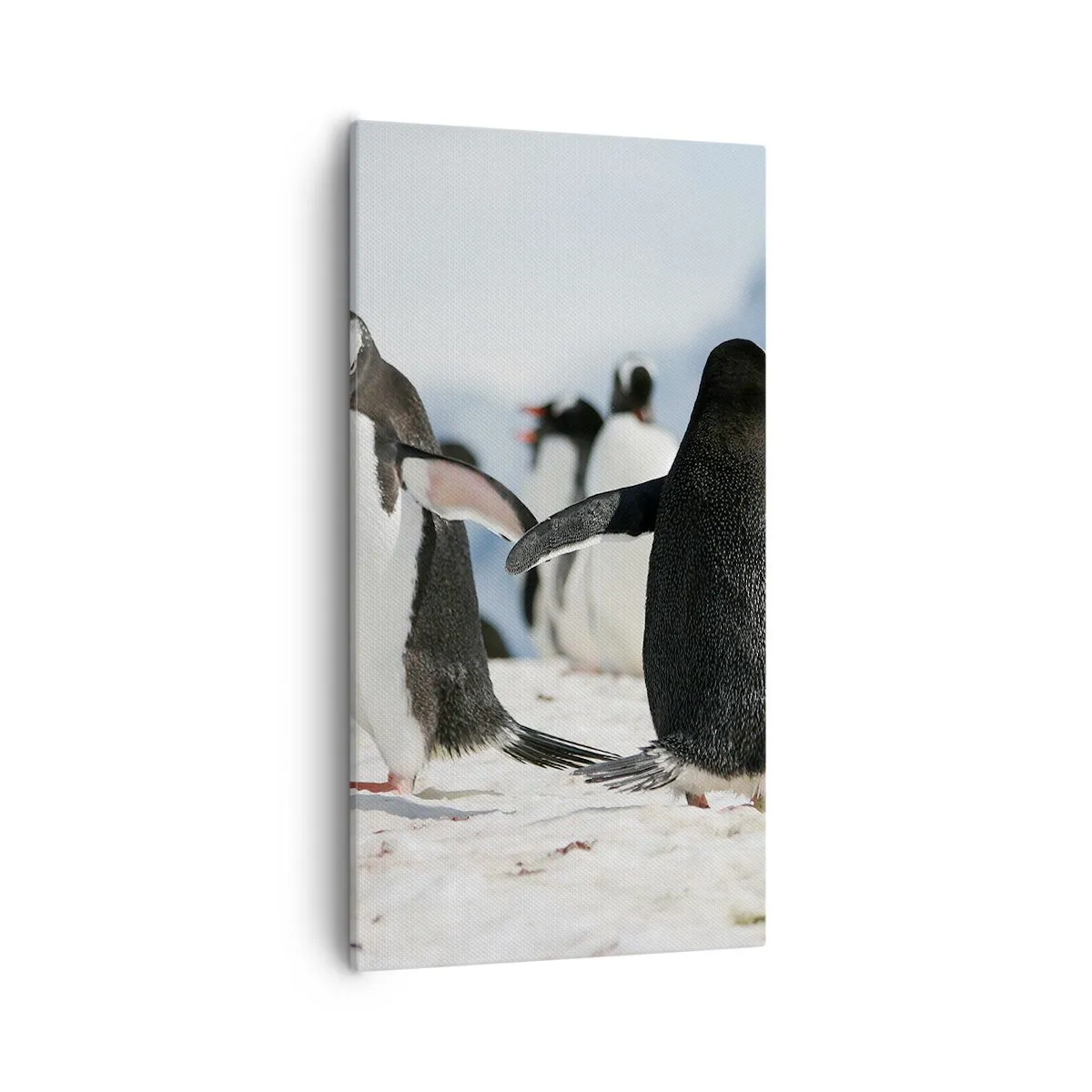 Cuadro sobre lienzo - Impresión de Imagen - Bailando en la nieve - 55x100 cm