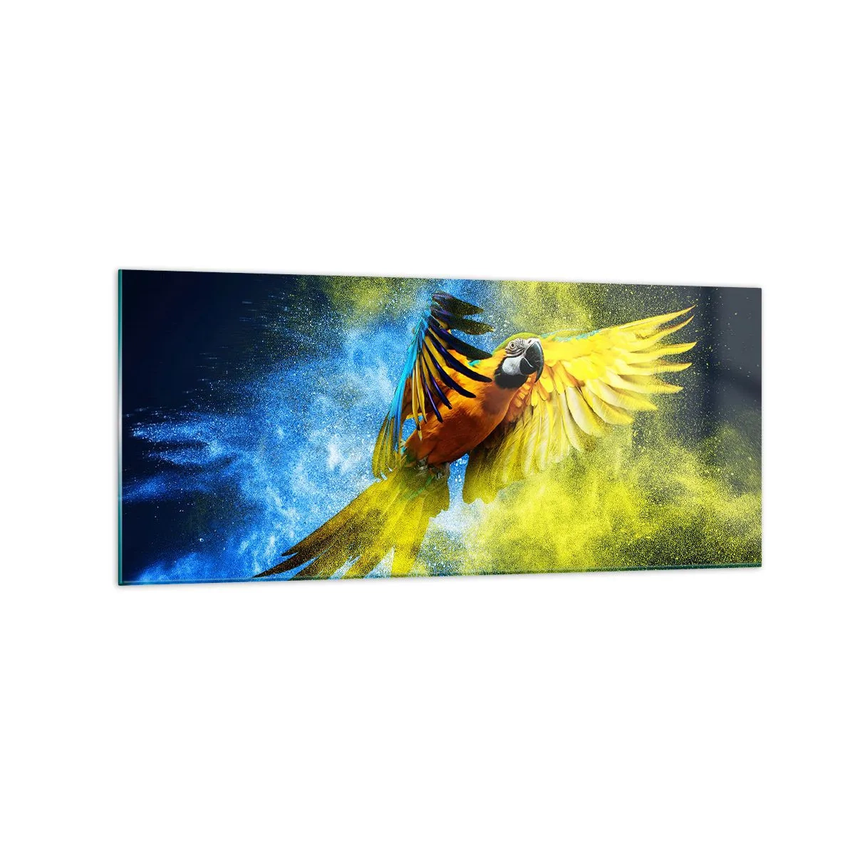 Cuadro sobre vidrio - Impresiones sobre Vidrio - Un loro en vuelo sobre un fondo de explosiones de colores amarillo y azul. - 120x50cm - En polvo azul y dorado - Decoración de pared moderna para salón y dormitorio ARTTOR
