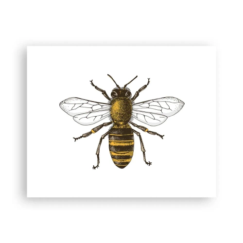 Póster - Bondad natural - 50x40 cm