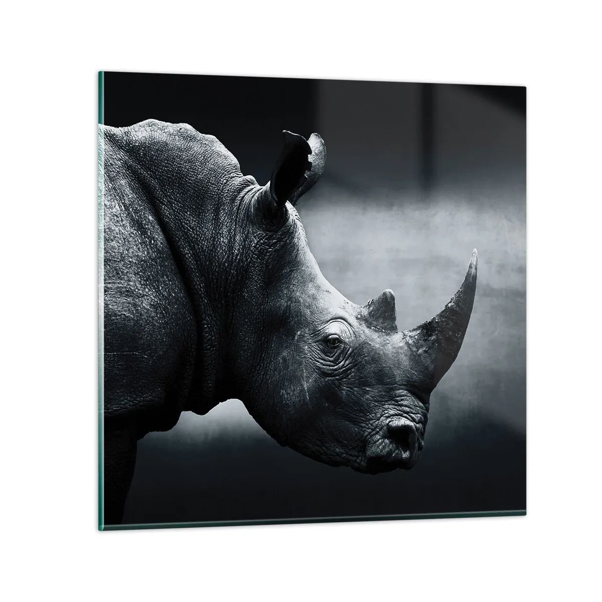 Cuadro sobre vidrio - Impresiones sobre Vidrio - Perfil derecho - 70x70 cm