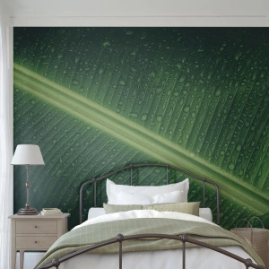 Fotomural Premium Sand - Hoja verde con gotas de agua en fotografía macro - 100x70cm - Estructura del verde - Decoración de pared moderna para salón y dormitorio ARTTOR