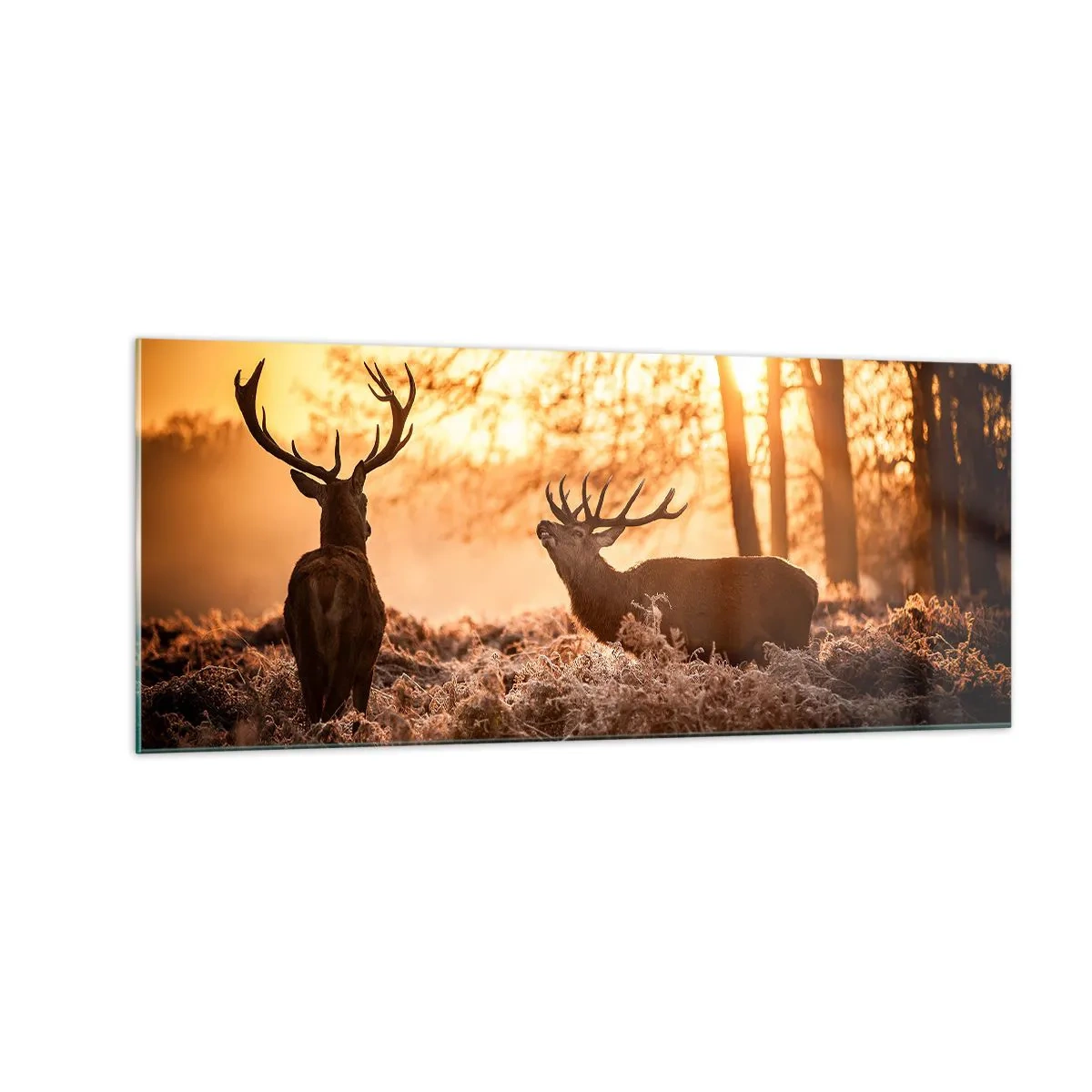 Cuadro sobre vidrio - Impresiones sobre Vidrio - El sueño de un cazador - 100x40 cm