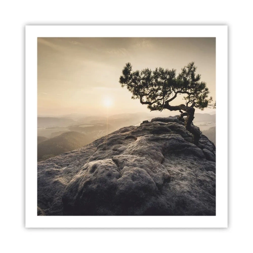 Póster - La vida se abre camino - 60x60 cm