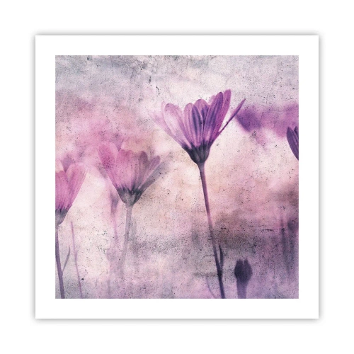 Póster - Sueño de flores - 50x50 cm