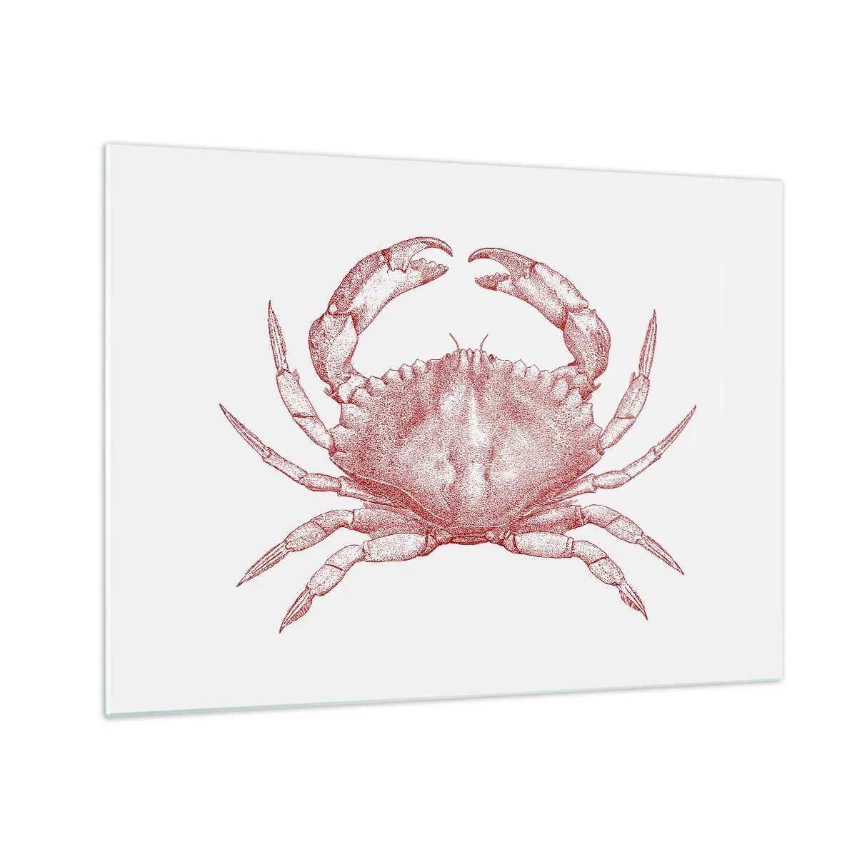 Cuadro sobre vidrio - Impresiones sobre Vidrio - Boceto de un cangrejo rojo sobre un fondo claro en estilo retro - 70x50cm - El explorador de las rocas - Decoración de pared moderna para salón y dormitorio ARTTOR