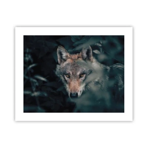 Póster - Cazador - 50x40 cm