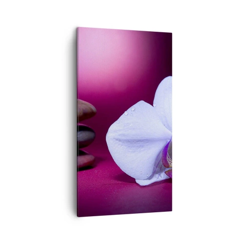 Cuadro sobre lienzo - Impresión de Imagen - Estudio de frescura en violeta - 45x80 cm