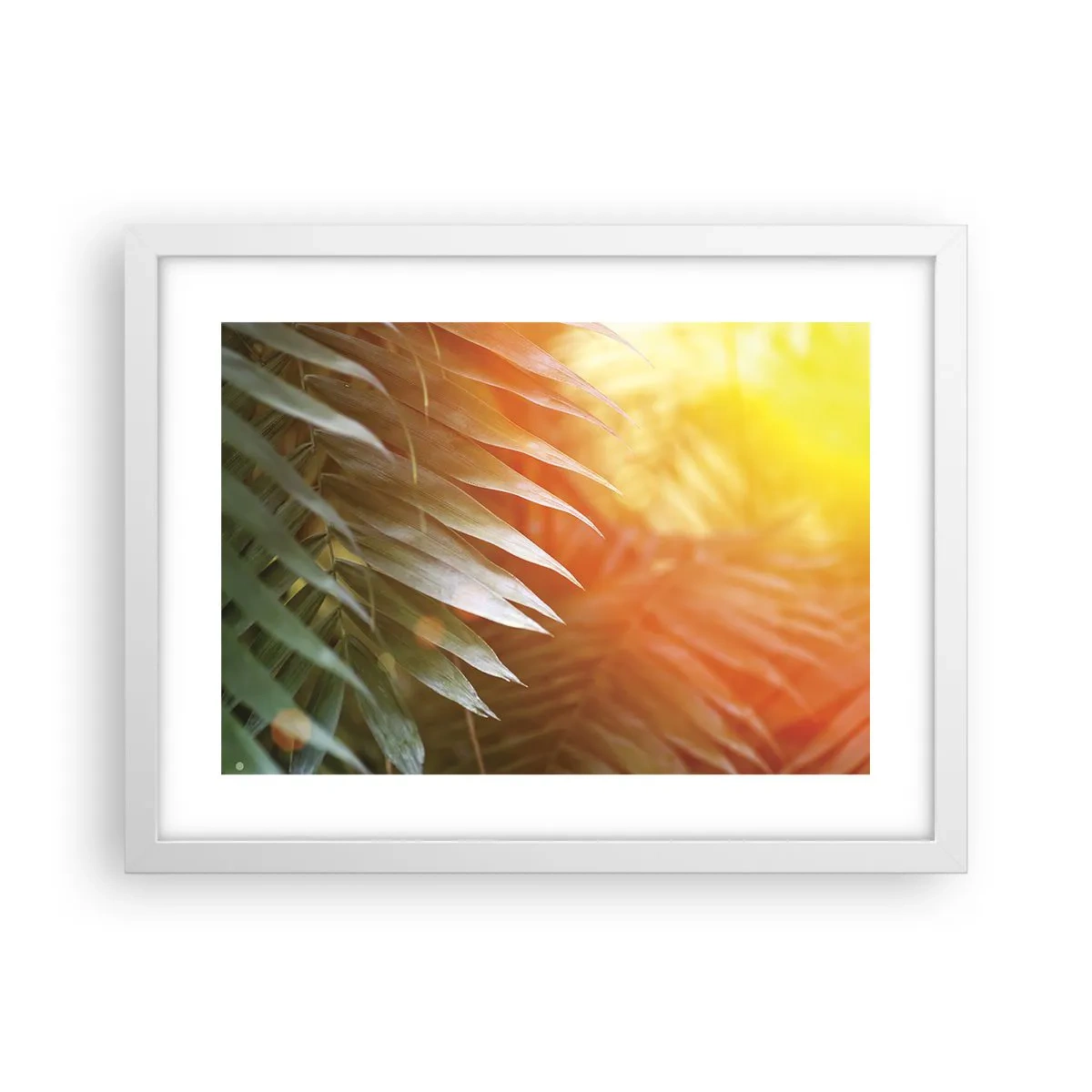 Póster en marco blanco - Mañana en la selva - 40x30 cm