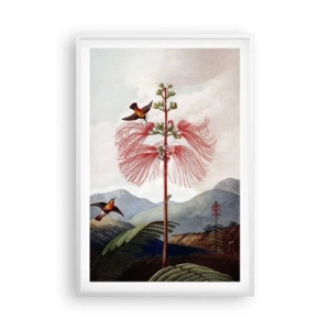 Póster en marco blanco - En un paraíso tropical - 61x91 cm