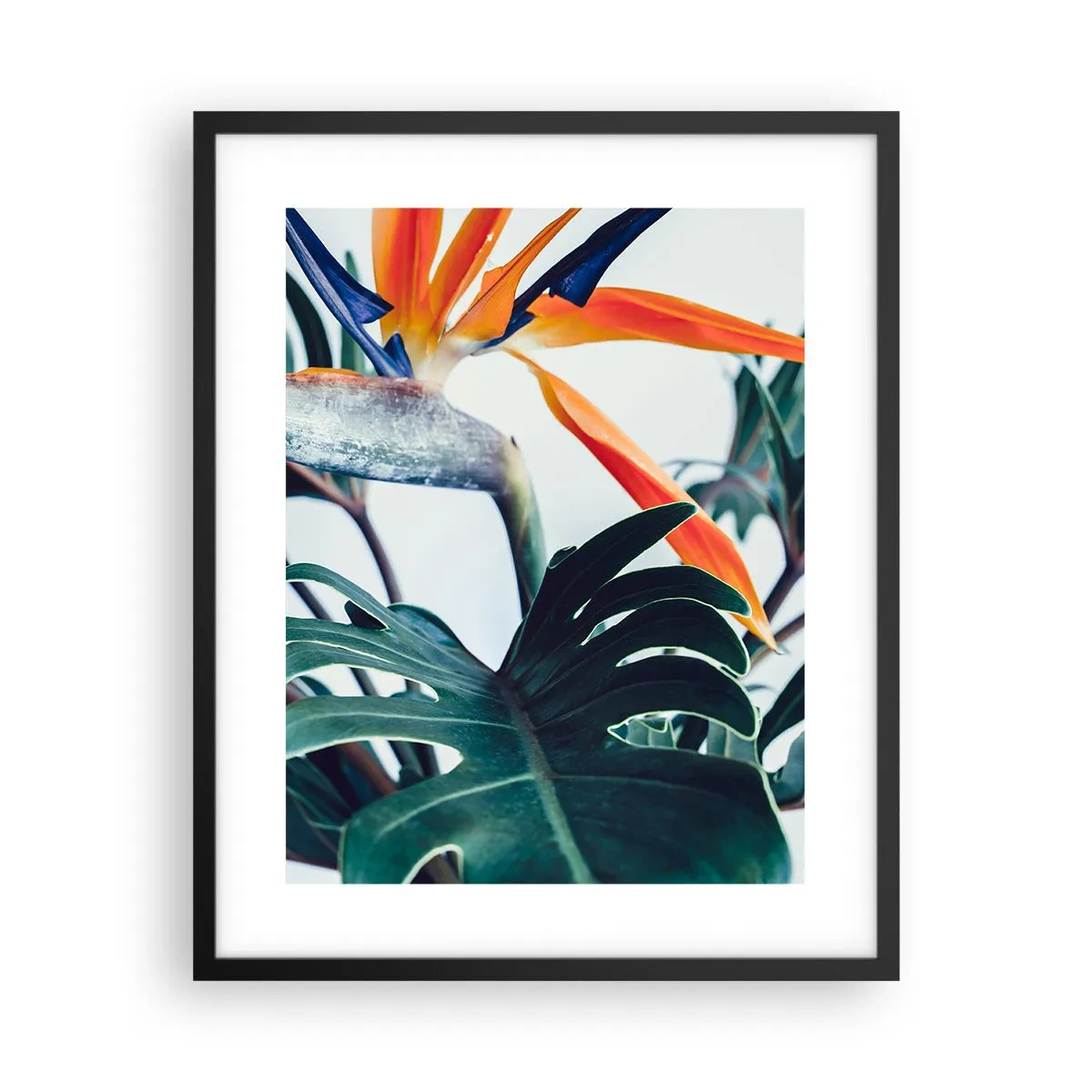 Póster en marco negro - La jaula del pájaro colorido - 40x50 cm