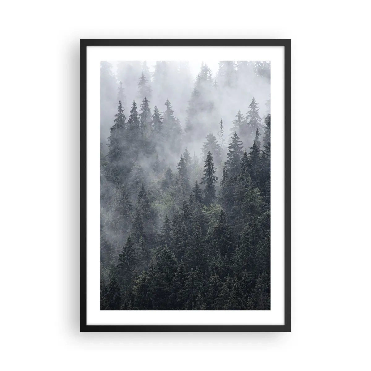 Póster en marco negro - Un bosque brumoso con altos árboles de coníferas. - 50x70cm - Amanecer en el bosque - Decoración de pared moderna para salón y dormitorio ARTTOR