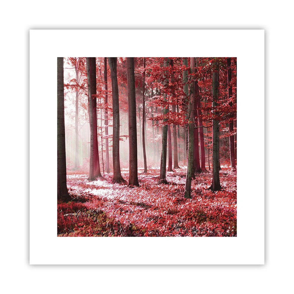 Póster - Rojo como el que más - 30x30 cm