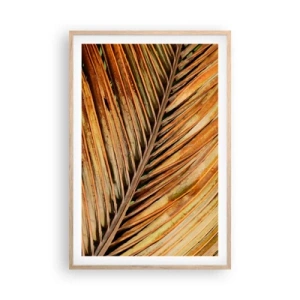 Póster en marco roble claro - Oro de coco - 61x91 cm