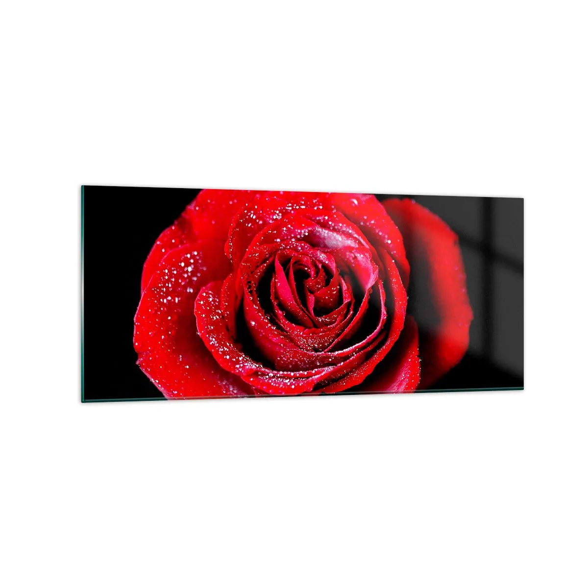 Cuadro sobre vidrio - Impresiones sobre Vidrio - Una rosa roja cubierta de gotas de rocío sobre un fondo negro. - 120x50cm - Eso es el amor - Decoración de pared moderna para salón y dormitorio ARTTOR