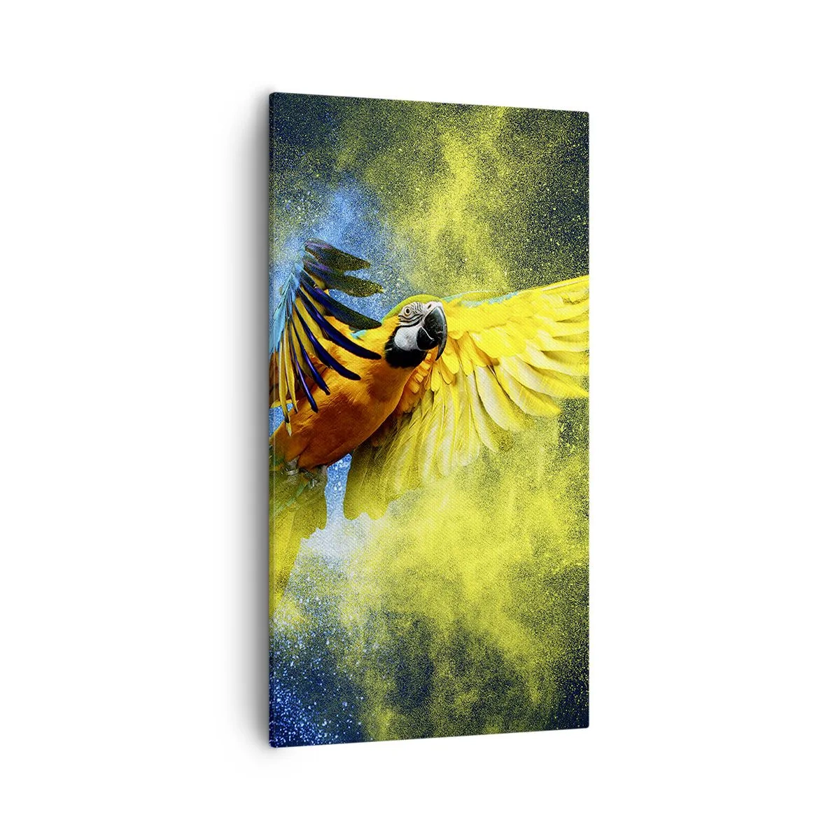 Cuadro sobre lienzo - Impresión de Imagen - En polvo azul y dorado - 55x100 cm