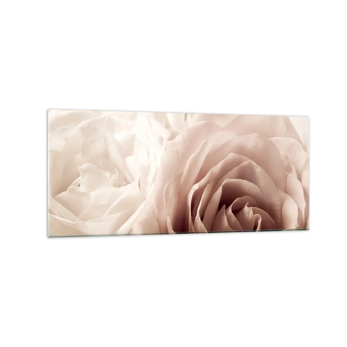 Cuadro sobre vidrio - Impresiones sobre Vidrio - Delicadas rosas en tonos pastel beige. - 120x50cm - En el corazón de una rosa - Decoración de pared moderna para salón y dormitorio ARTTOR