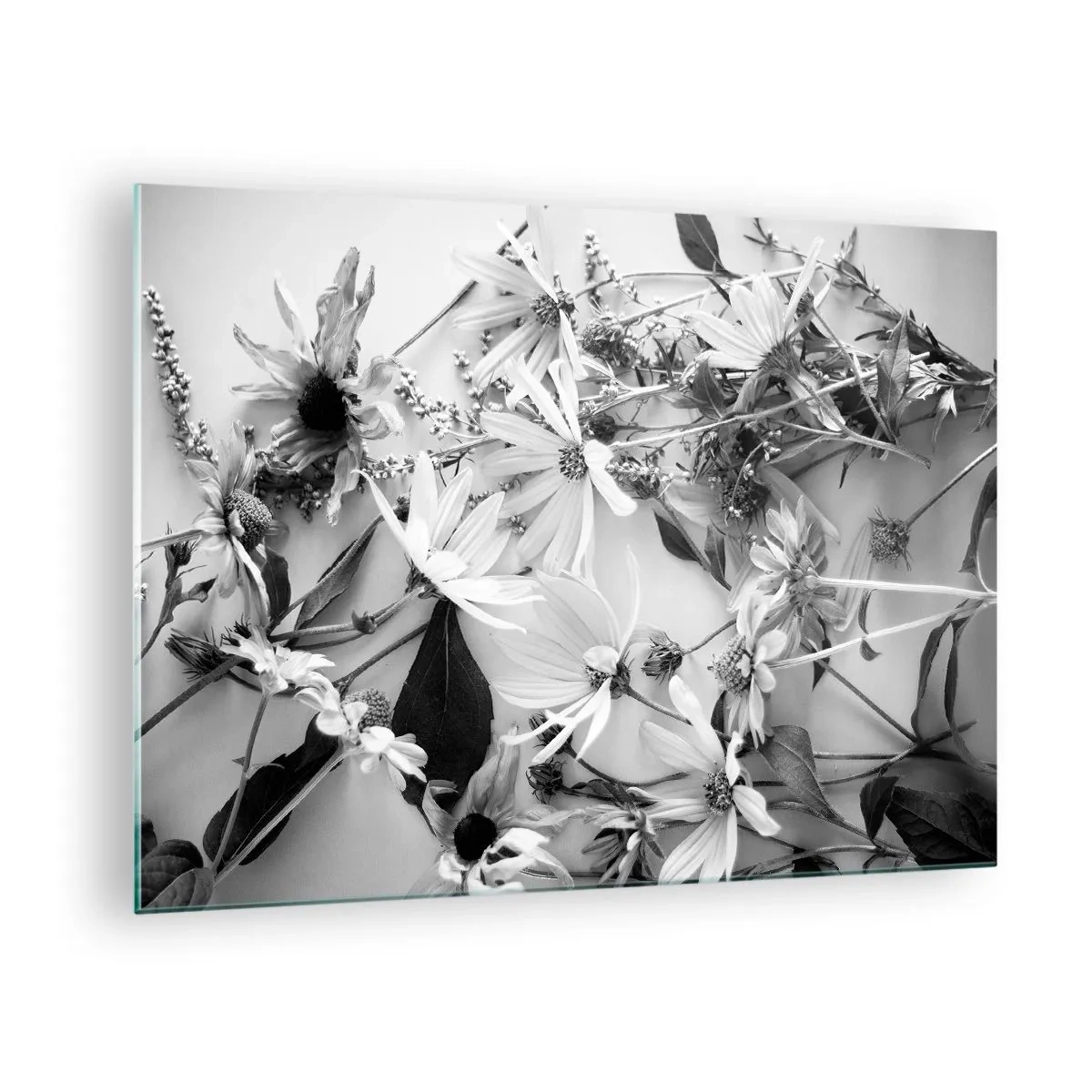 Cuadro sobre vidrio - Impresiones sobre Vidrio - Flores blancas y negras dispersas en un arreglo artístico. - 70x50cm - Un no ramo de flores - Decoración de pared moderna para salón y dormitorio ARTTOR
