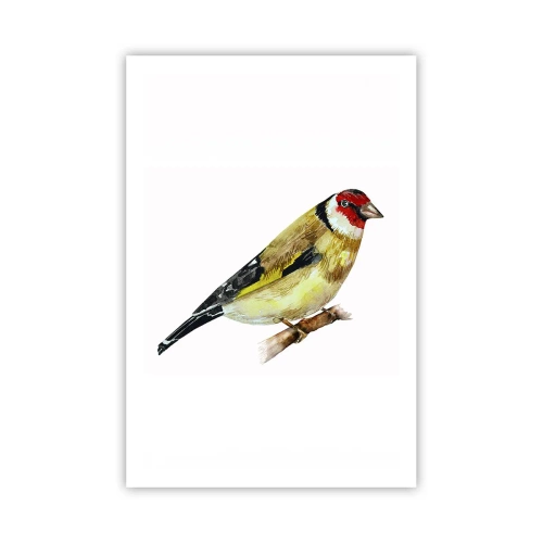 Póster - Retrato de pájaro - 61x91 cm