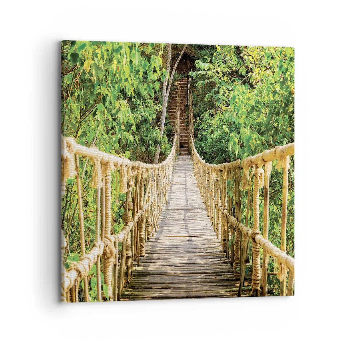 Cuadro sobre lienzo - Impresión de Imagen - Suspendido en verde - 70x70 cm