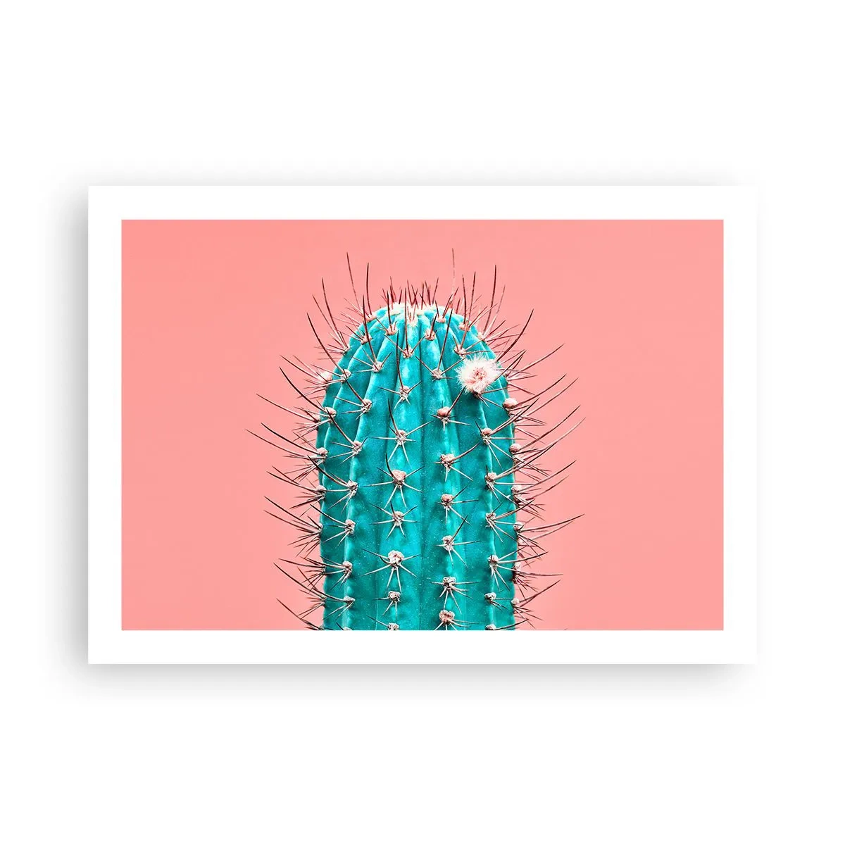 Póster - Se mira, pero no se toca - 70x50 cm