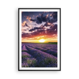 Póster en marco negro - El mundo de la lavanda - 61x91 cm