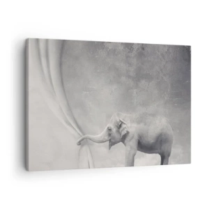 Cuadro sobre lienzo - Impresión de Imagen - Un elefante abriendo la cortina en una toma surrealista en blanco y negro. - 70x50cm - Revelar el misterio - Decoración de pared moderna para salón y dormitorio ARTTOR