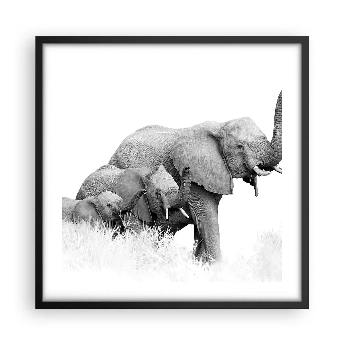 Póster en marco negro - Uno, dos, tres - 50x50 cm