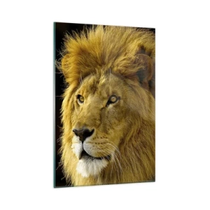 Cuadro sobre vidrio - Impresiones sobre Vidrio - Retrato de un león con una melena majestuosa sobre un fondo oscuro - 80x120cm - Retrato de un rey - Decoración de pared moderna para salón y dormitorio ARTTOR