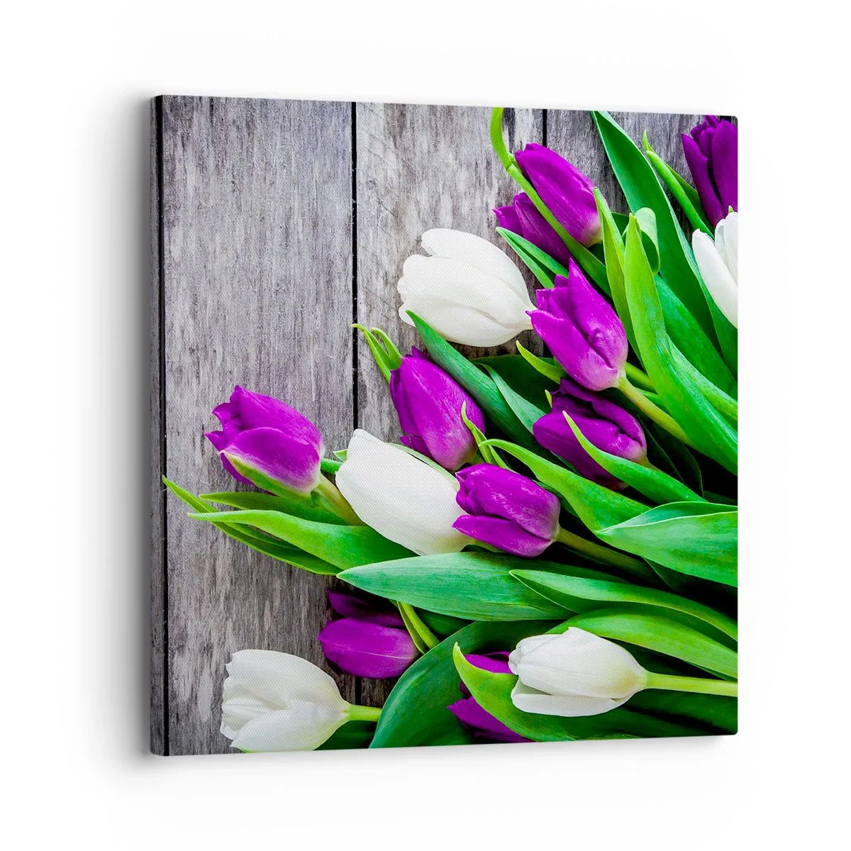 Cuadro sobre lienzo - Impresión de Imagen - El día de la fiesta de la primavera - 30x30 cm