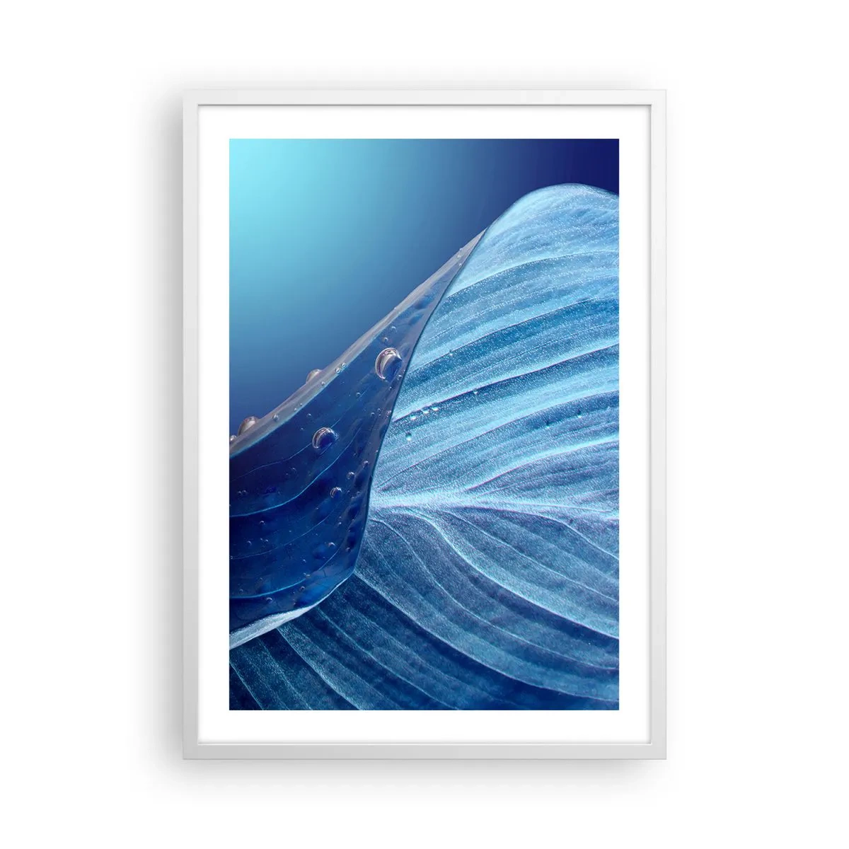 Póster en marco blanco - Gotas ocultas de azul - 50x70 cm