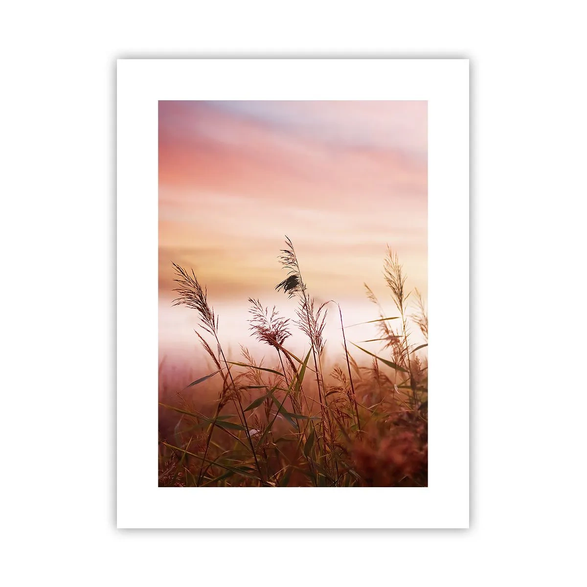 Póster - El arte del viento - 30x40 cm