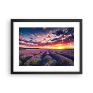 Póster en marco negro - El mundo de la lavanda - 40x30 cm