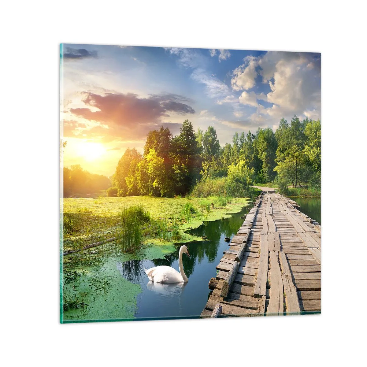 Cuadro sobre vidrio - Impresiones sobre Vidrio - Verano, verano en todas partes - 70x70 cm