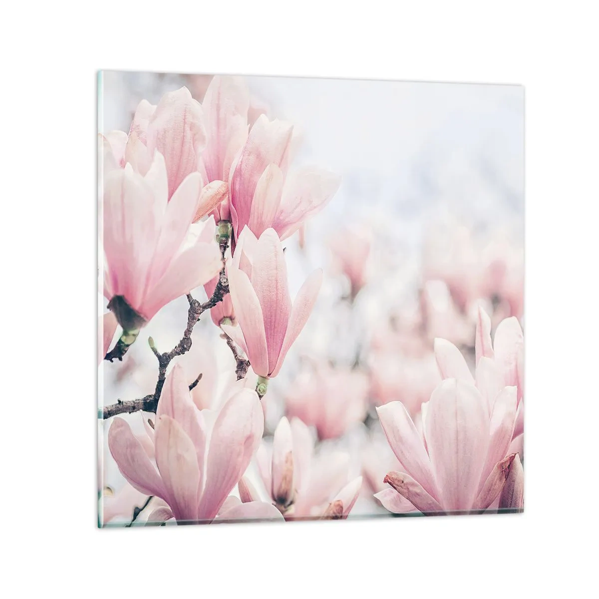 Cuadro sobre vidrio - Impresiones sobre Vidrio - La perfección de la sutileza - 30x30 cm