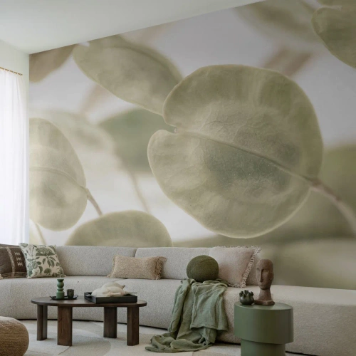 Fotomural Standard Eco - Al principio de los tiempos había hojas... - flores, Calma, Hojas - 150x105 cm