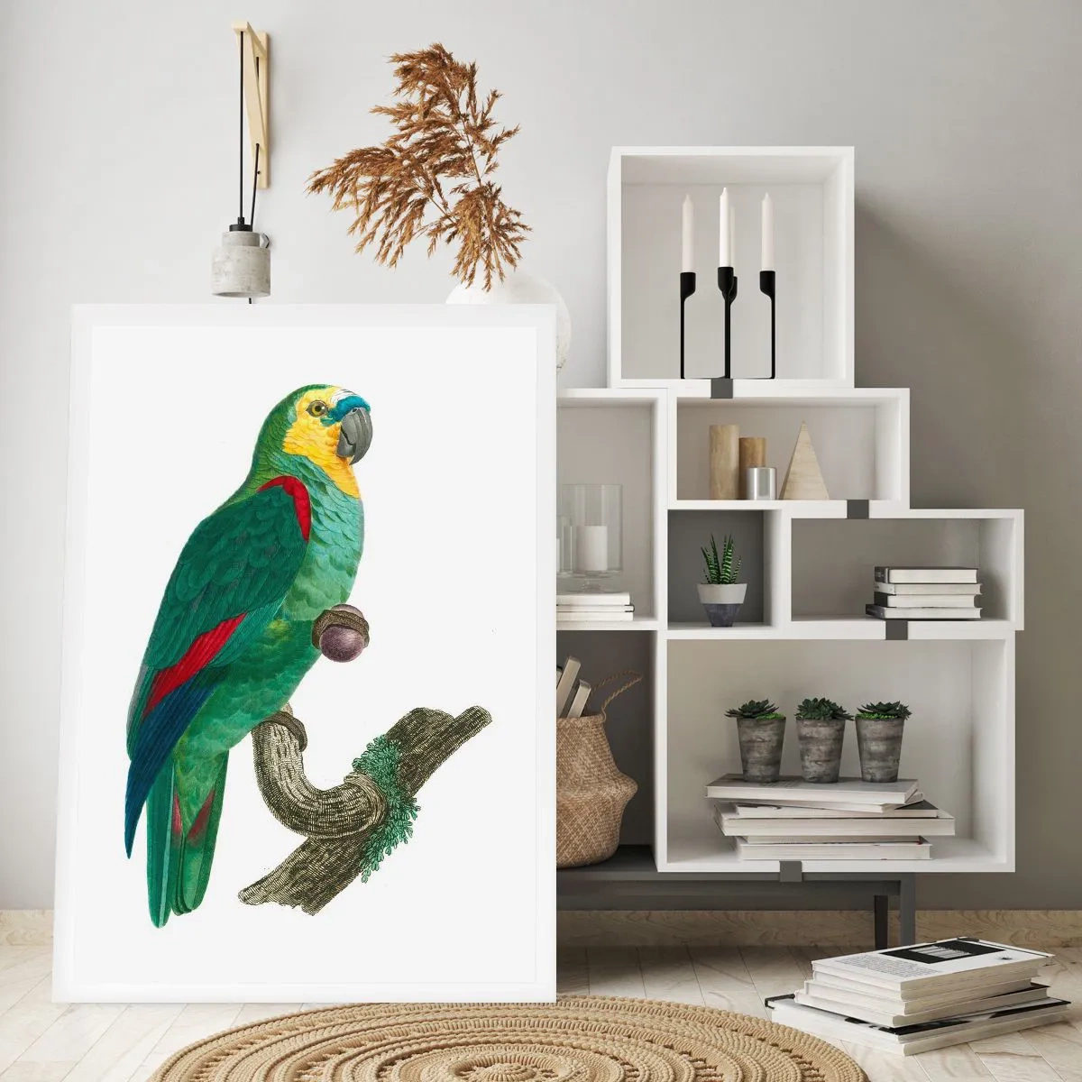 Póster - Retrato de un loro - 30x40 cm