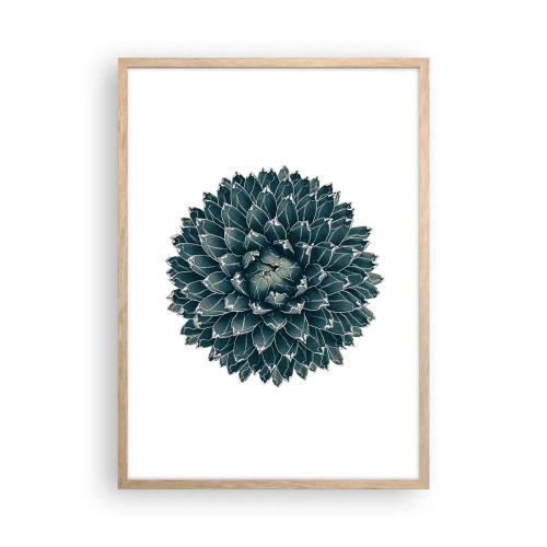 Póster en marco roble claro - Estrella del desierto - 50x70 cm