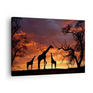 Cuadro sobre lienzo - Impresión de Imagen - Siluetas de jirafas con el atardecer africano como telón de fondo - 70x50cm - Una pequeña cena con tus seres queridos - Decoración de pared moderna para salón y dormitorio ARTTOR