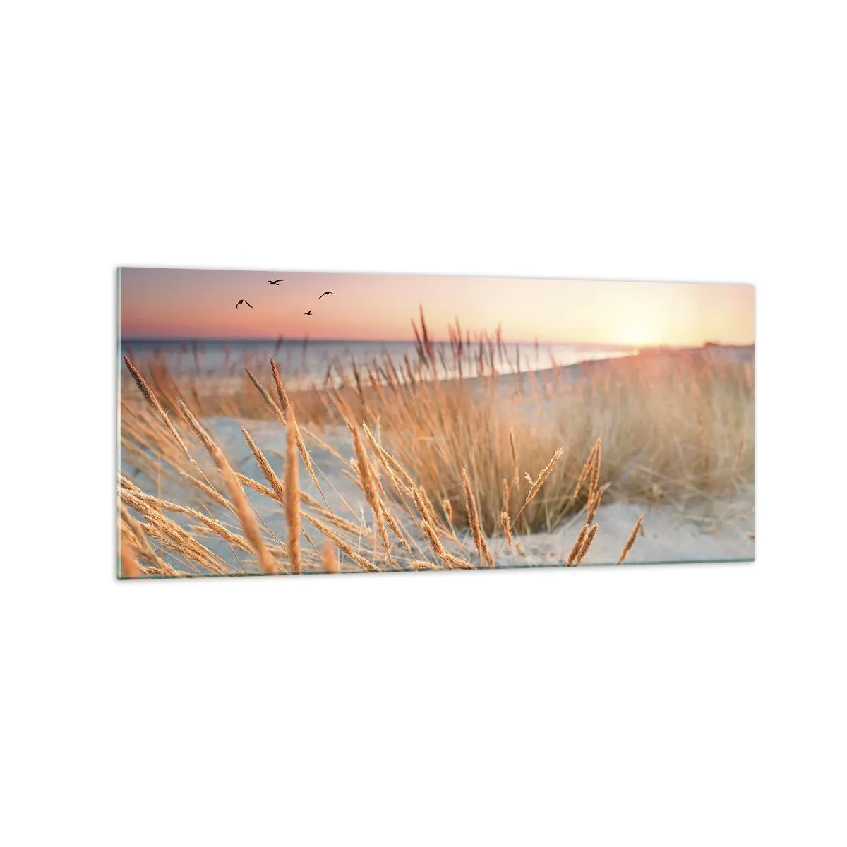 Cuadro sobre vidrio - Impresiones sobre Vidrio - Playa al atardecer con hierbas altas - 120x50cm - Dulce nana del Báltico - Decoración de pared moderna para salón y dormitorio ARTTOR