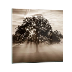 Cuadro sobre vidrio - Impresiones sobre Vidrio - Un árbol de buenas noticias  - 30x30 cm