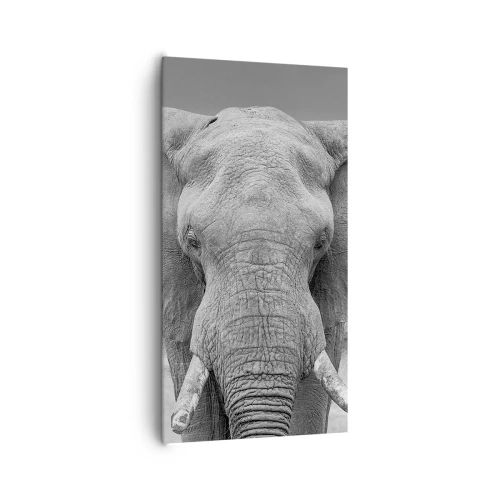 Cuadro sobre lienzo - Impresión de Imagen - Bienvenido a mi mundo - 65x120 cm