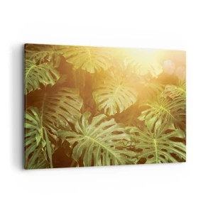 Cuadro sobre lienzo - Impresión de Imagen - Hojas de monstera a la luz del sol sobre un fondo natural. - 100x70cm - Hacia el verdor... - Decoración de pared moderna para salón y dormitorio ARTTOR