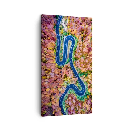 Cuadro sobre lienzo - Impresión de Imagen - Un camino sinuoso a través del bosque - 45x80 cm