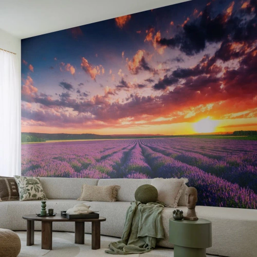 Fotomural personalizado Premium Sand - El mundo de la lavanda - Paisaje, campo de lavanda, Lavanda