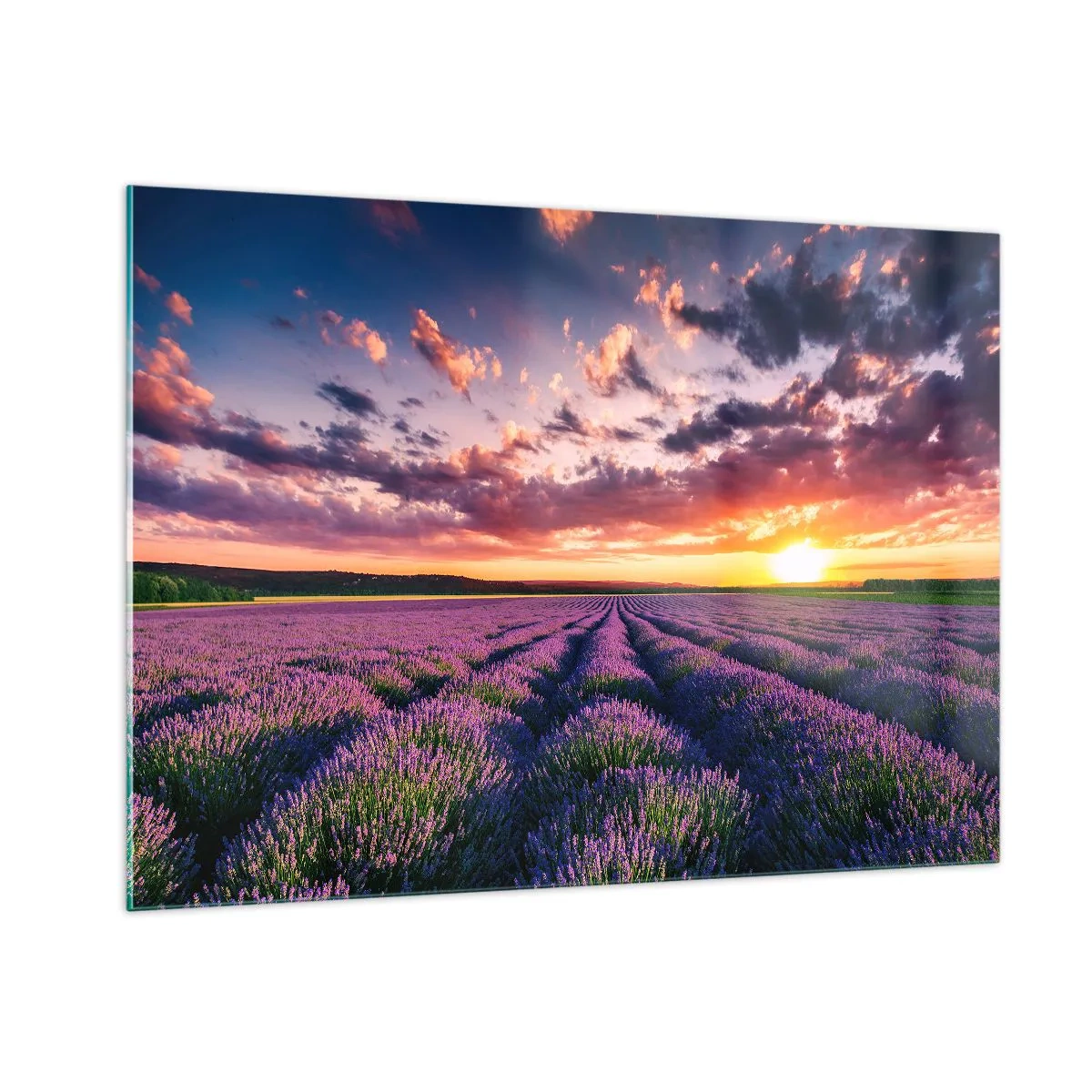 Cuadro sobre vidrio - Impresiones sobre Vidrio - Un campo de lavanda al atardecer con un cielo colorido y nubes. - 100x70cm - El mundo de la lavanda - Decoración de pared moderna para salón y dormitorio ARTTOR
